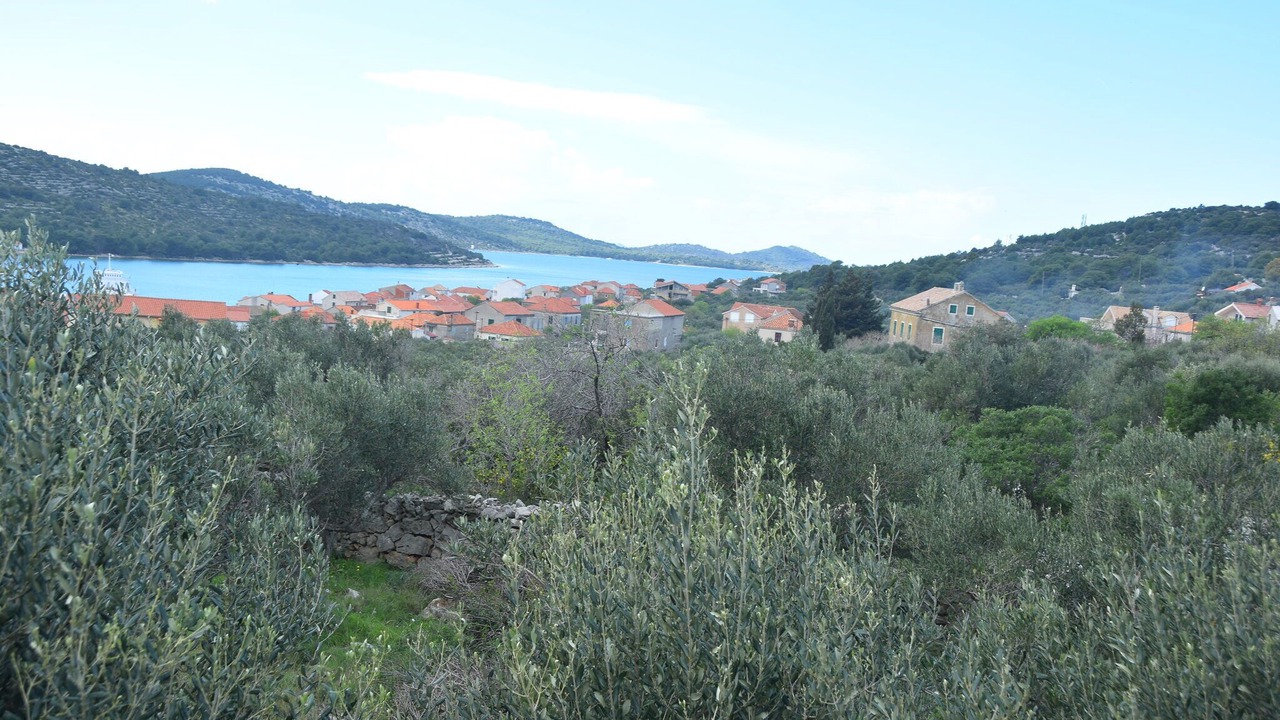Photo of Others in Kaprije