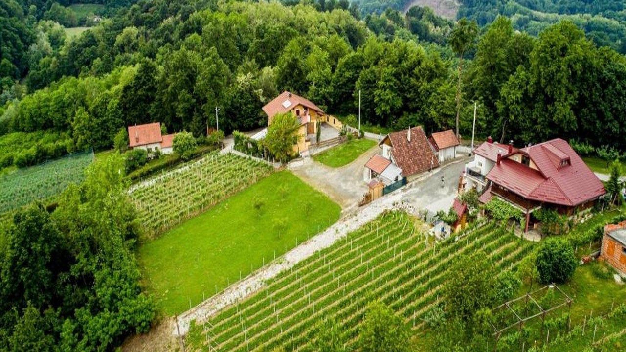 Photo of Others in Varazdinske Toplice