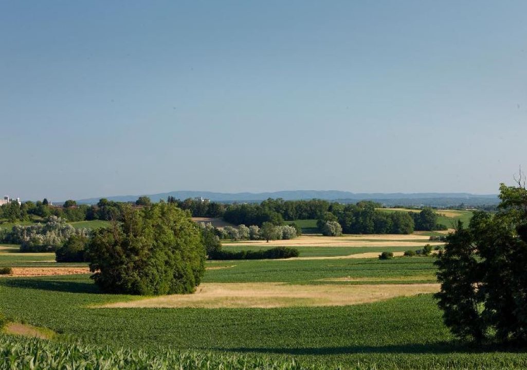 Photo of Outdoor in Kapela