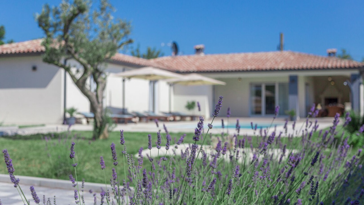 Photo of Outdoor in Smoljanci