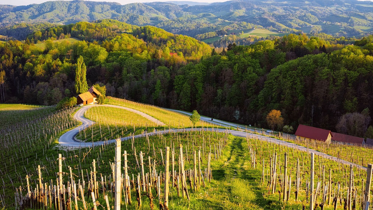 Photo of Outdoor in Maribor