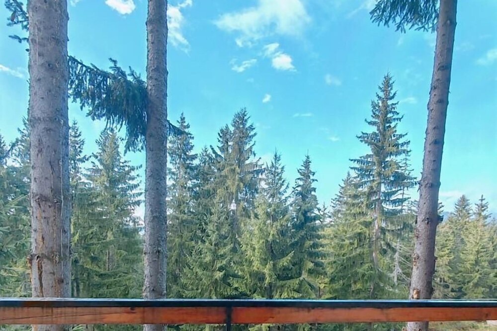 Photo of Outdoor in Babanovac