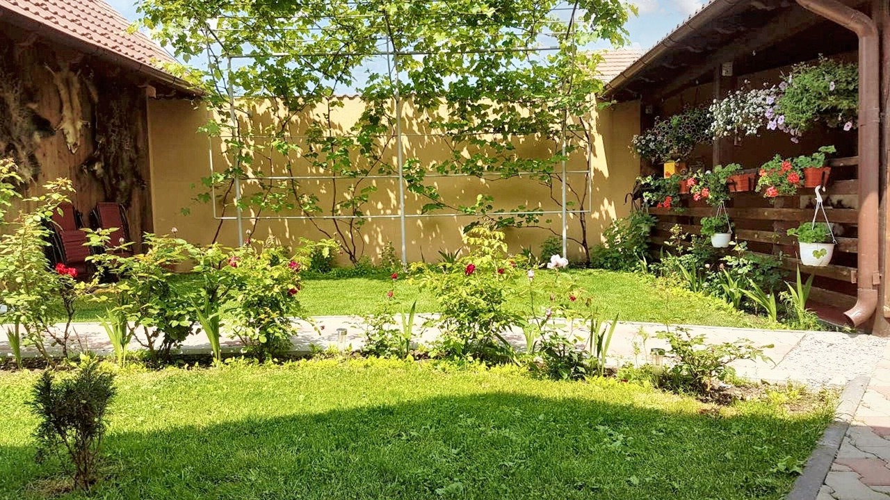 Photo of Outdoor in Sacele