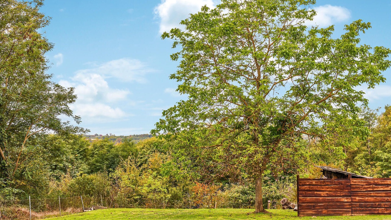 Photo of Outdoor in Kapela