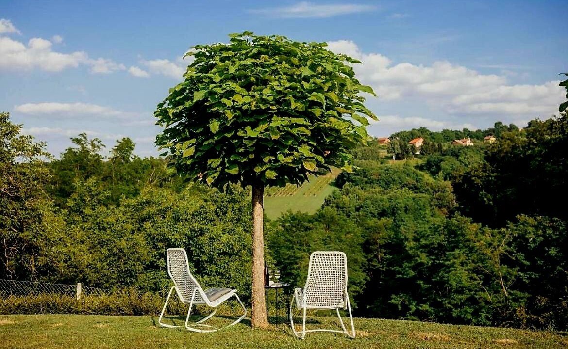 Photo of Outdoor in Medimurje