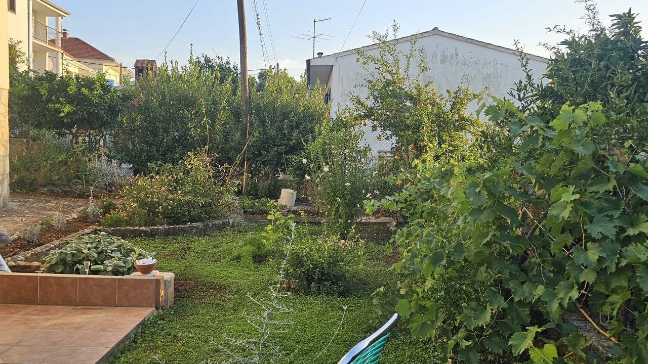 Photo of Outdoor in Okrug Gornji