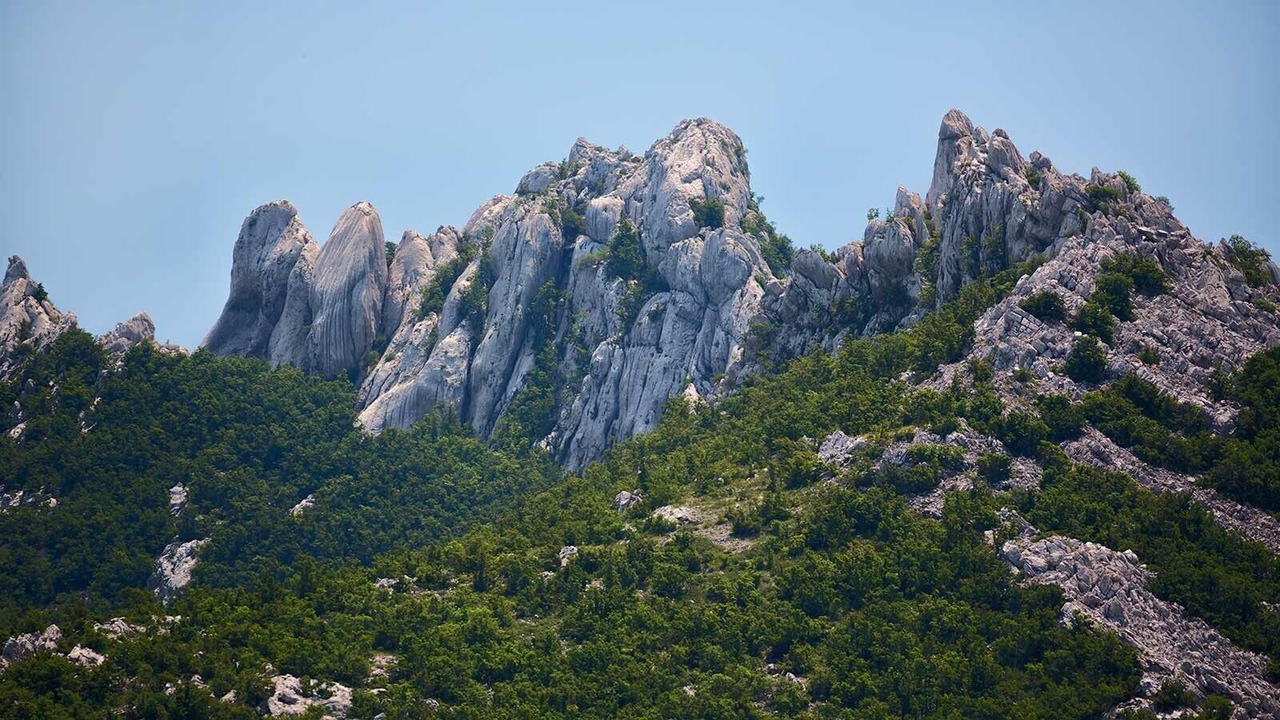 Photo of Others in Starigrad