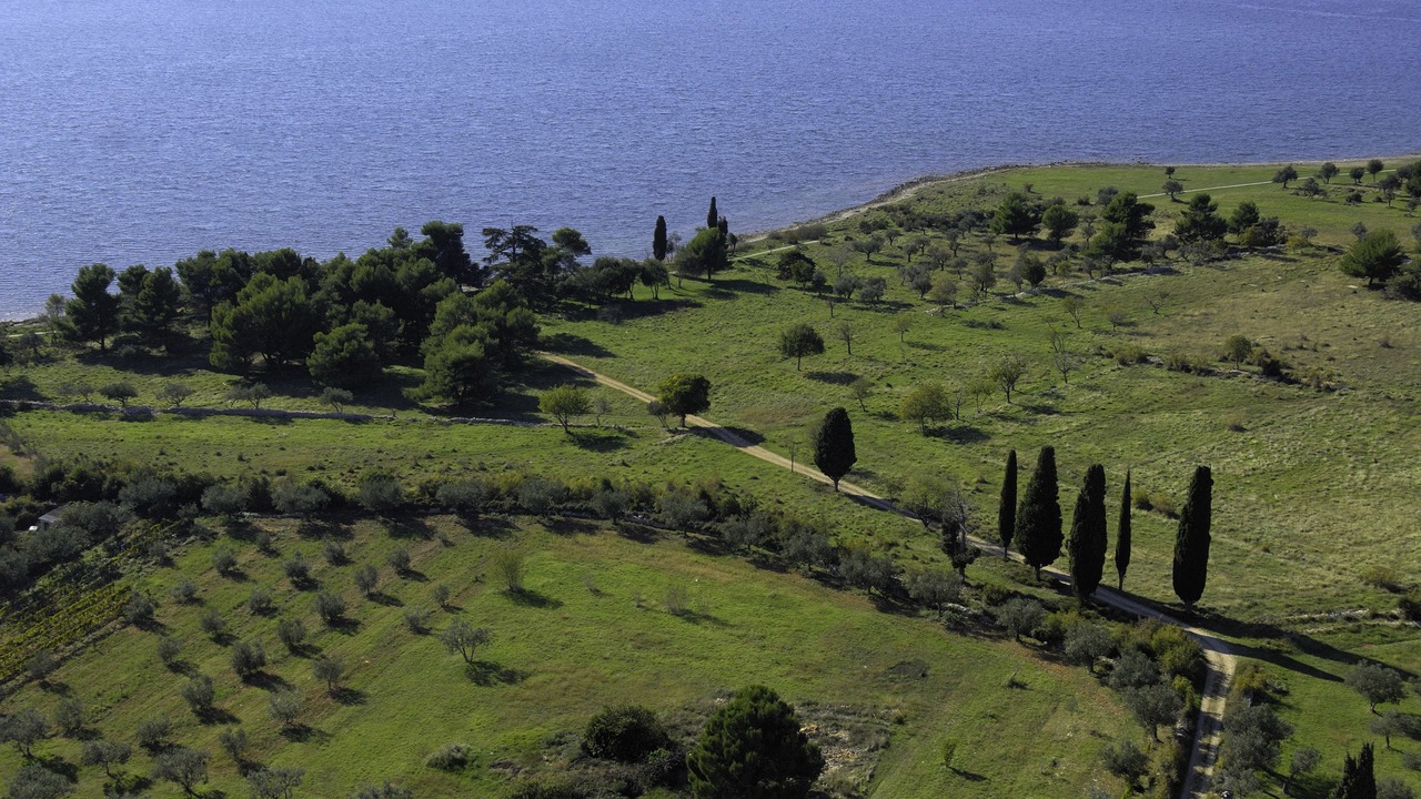 Photo of Outdoor in Novigrad