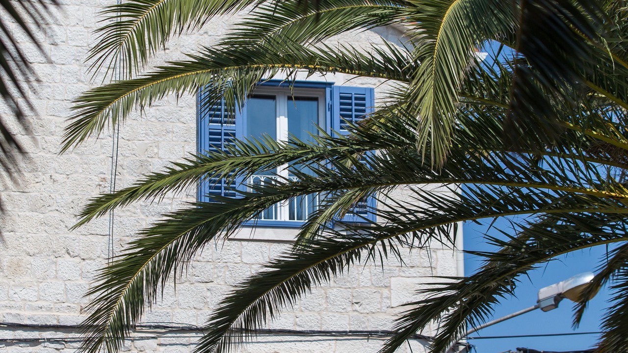 Photo of Others in Trogir