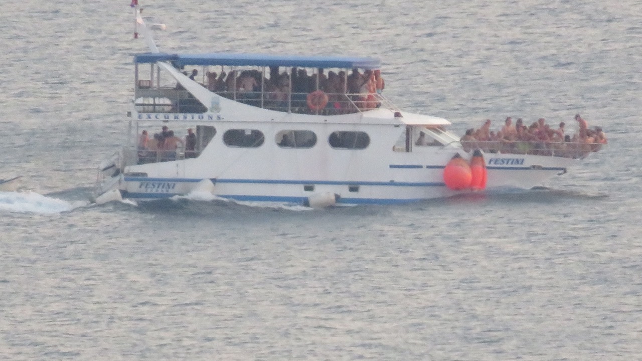 Photo of Others in Kustici