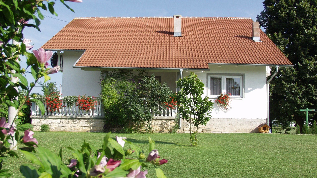 Photo of Outdoor in Irinovac