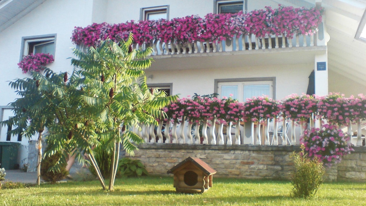 Photo of Outdoor in Irinovac