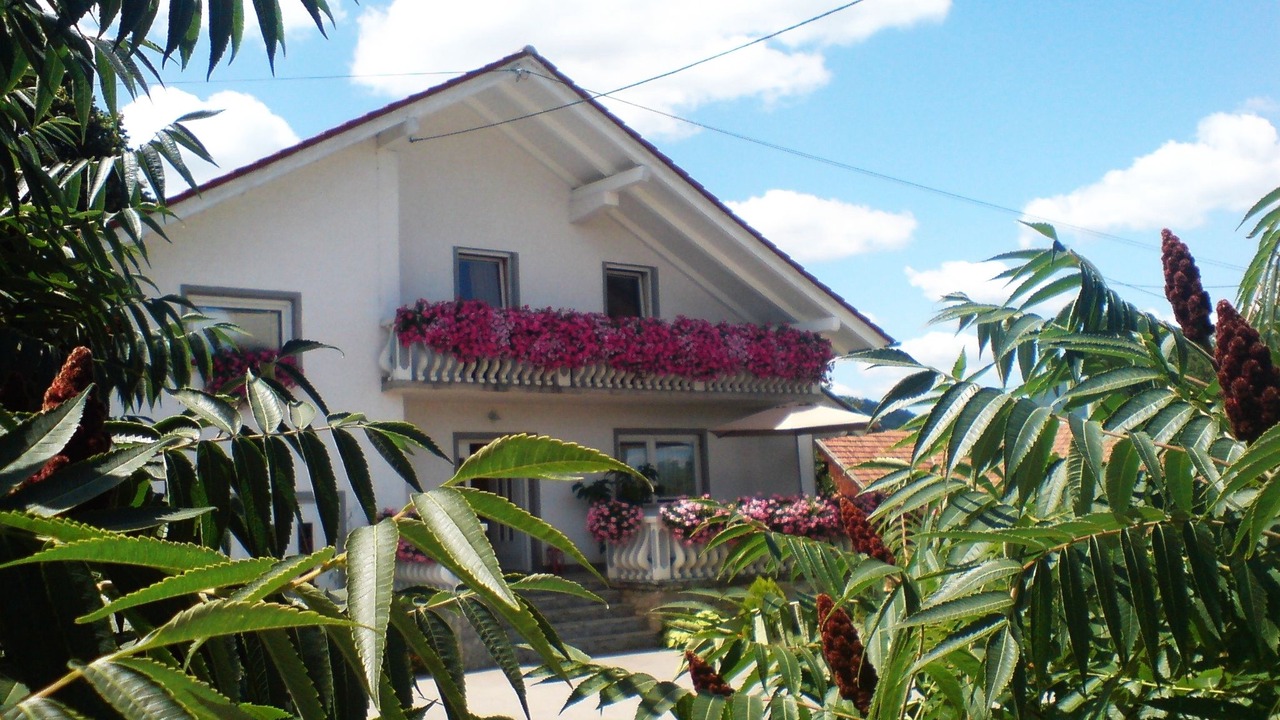 Photo of Outdoor in Irinovac
