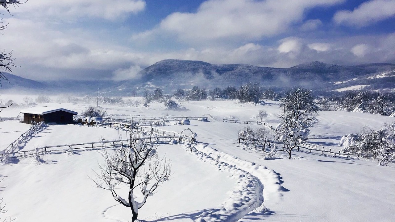 Photo of Others in Irinovac