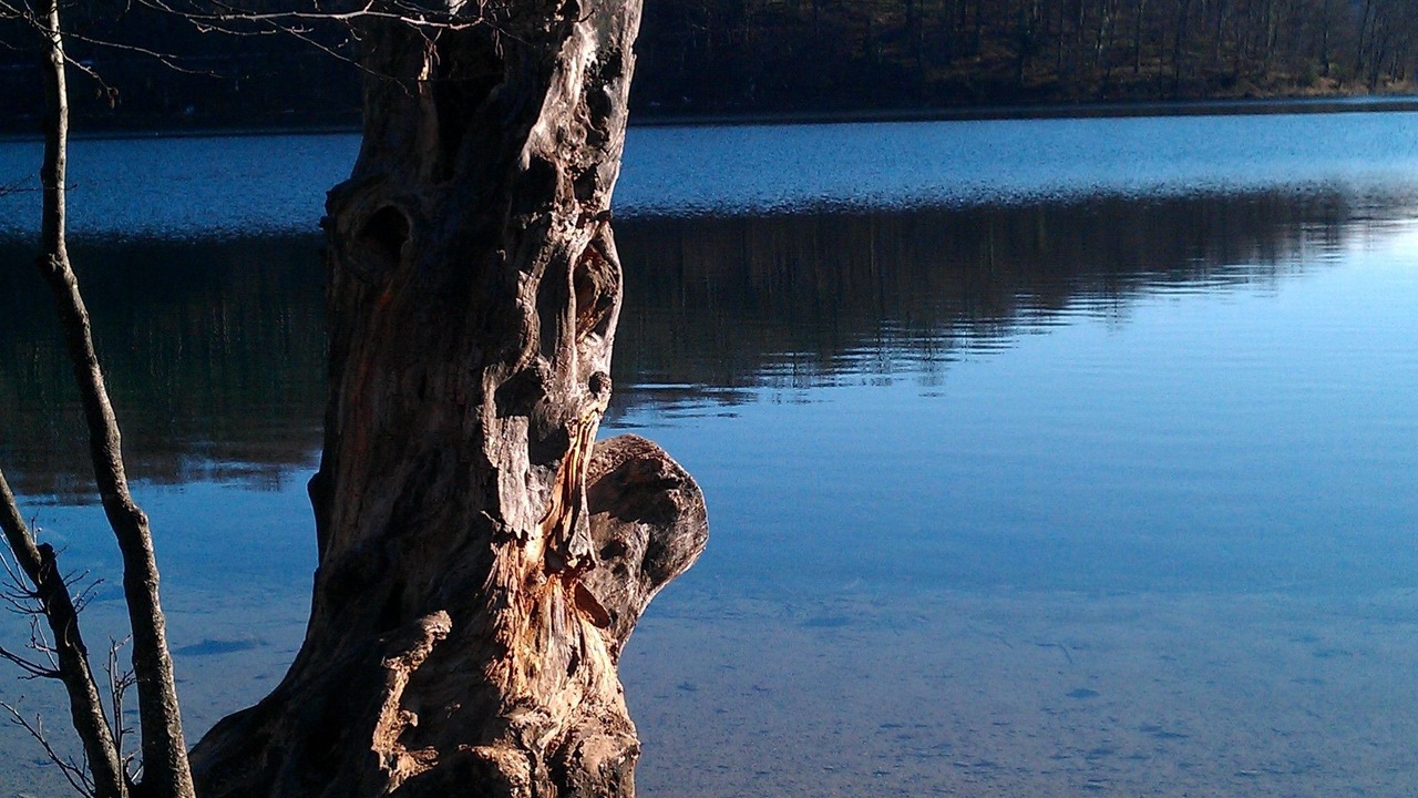 Photo of Outdoor in Irinovac