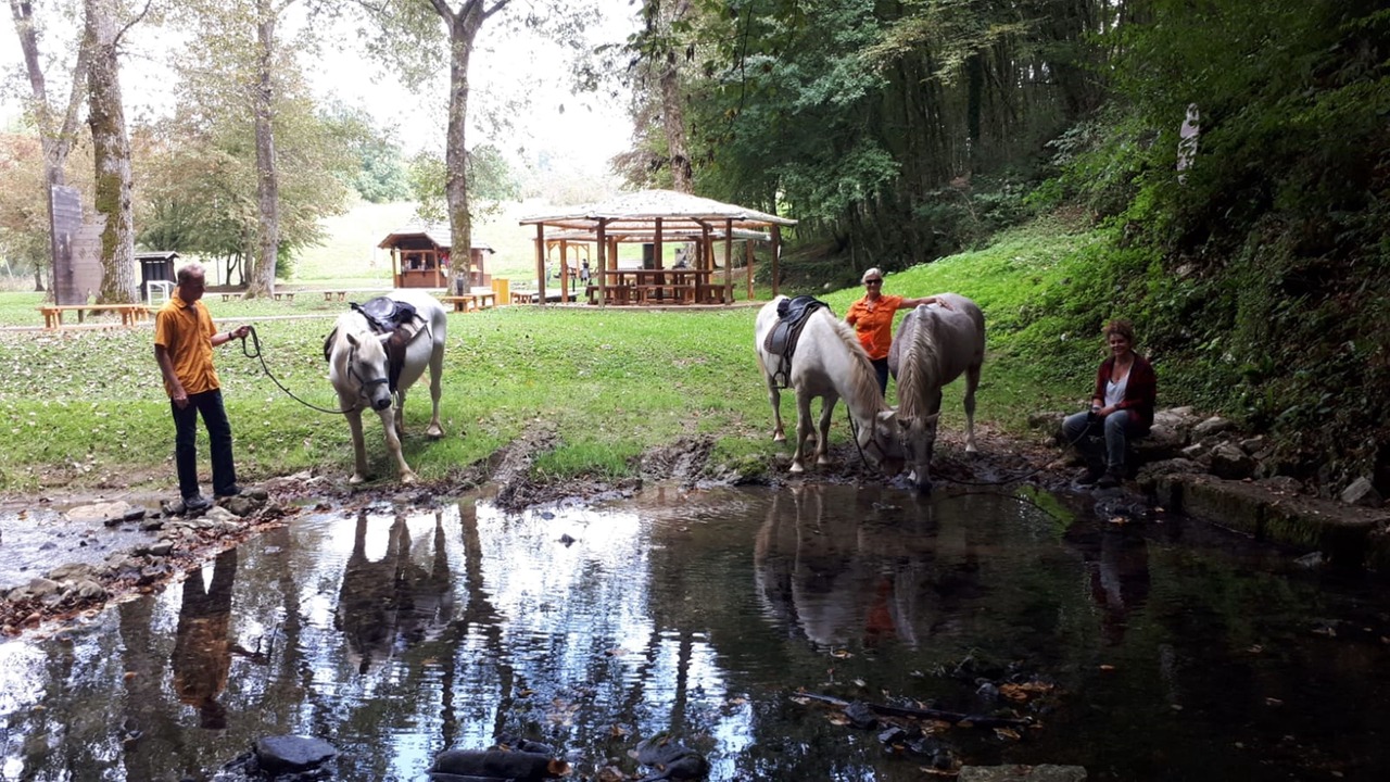 Photo of Others in Irinovac