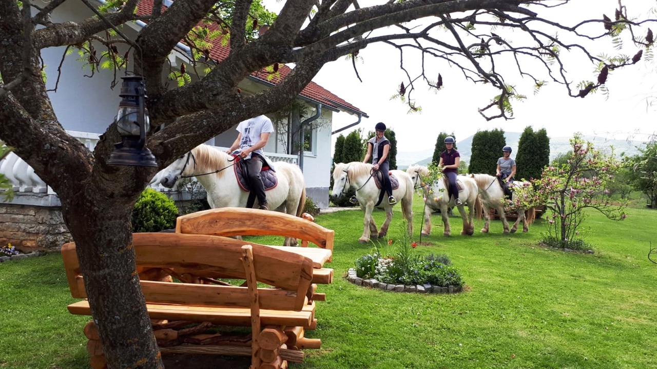 Photo of Outdoor in Irinovac