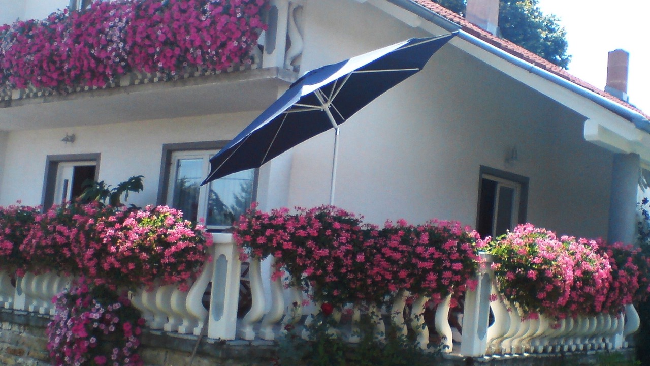 Photo of Outdoor in Irinovac