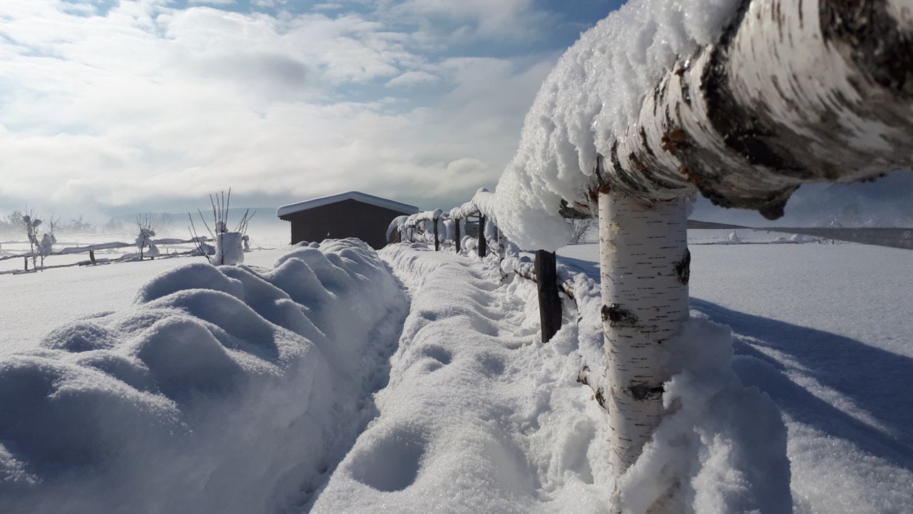 Photo of Outdoor in Irinovac