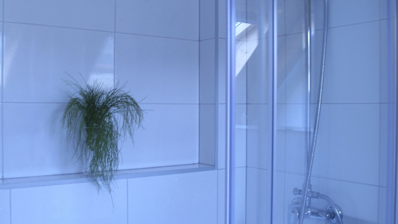 Photo of Bathroom in Mukinje