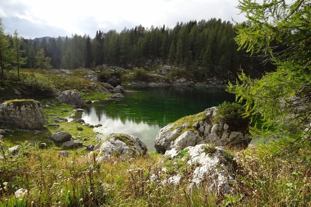 Photo of Others in Bohinjska Bistrica