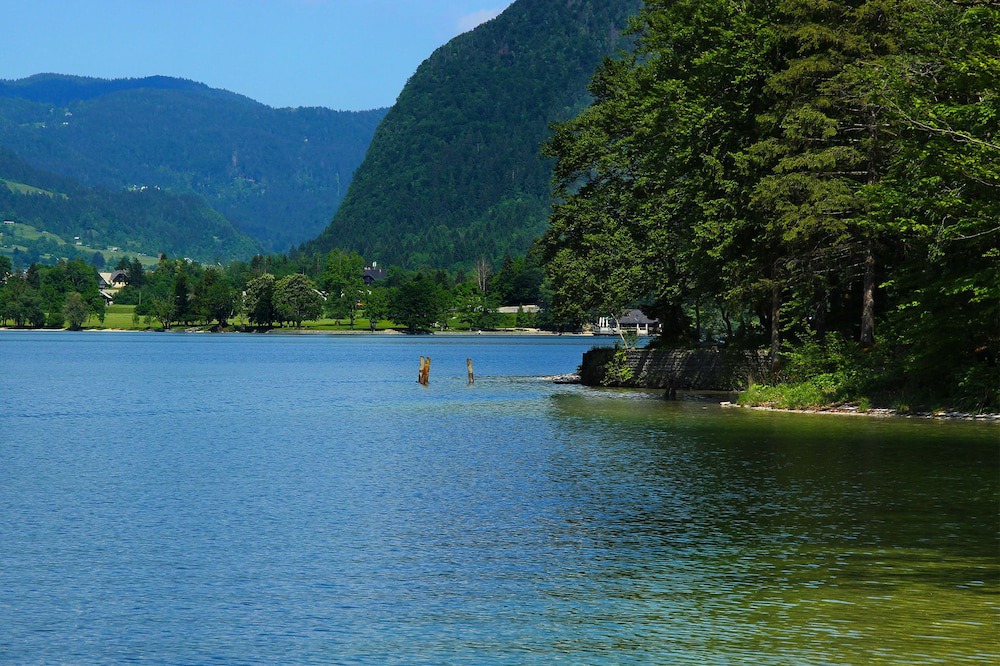 Photo of Others in Bohinjska Bistrica