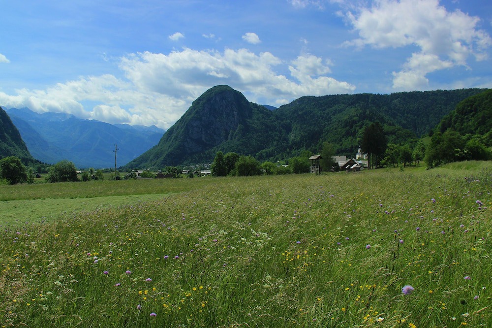 Photo of Others in Bohinjska Bistrica