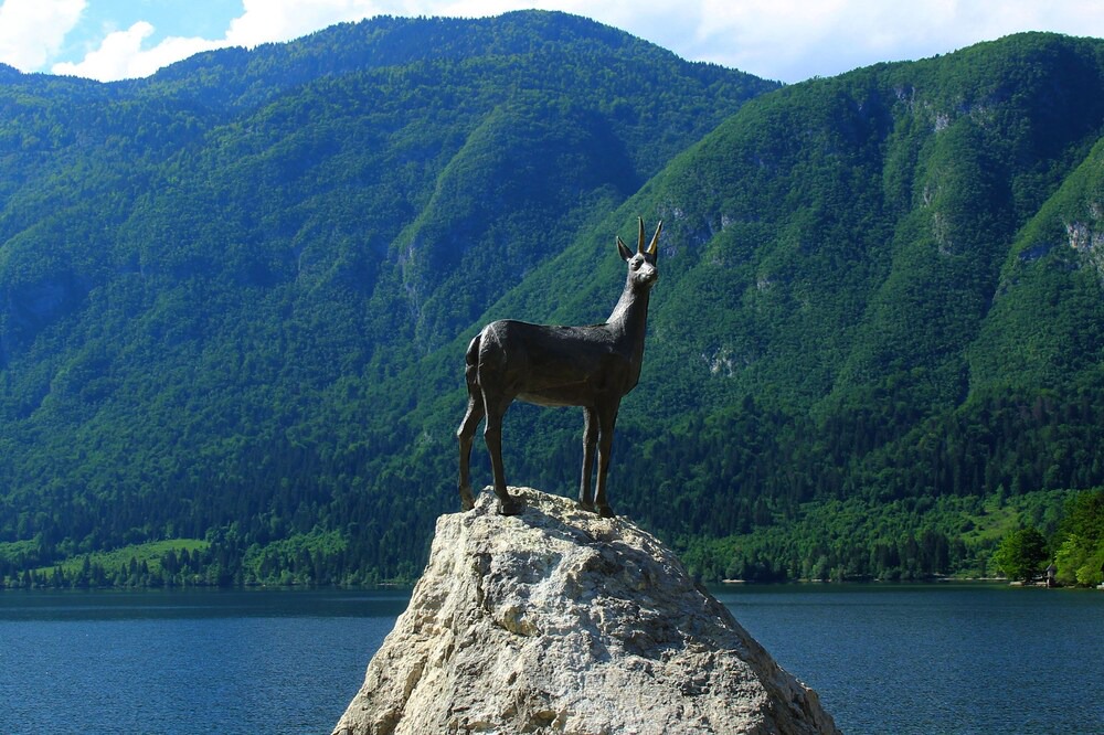 Photo of Others in Bohinjska Bistrica