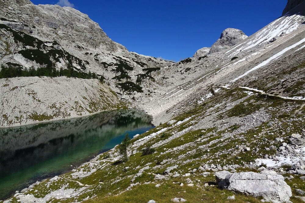 Photo of Others in Bohinjska Bistrica