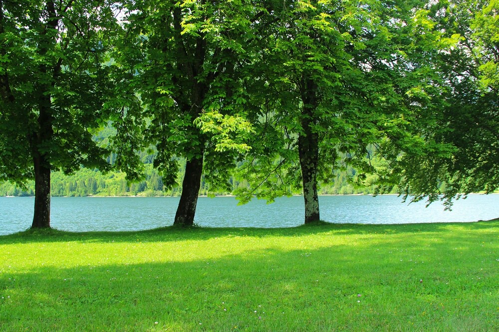 Photo of Others in Bohinjska Bistrica