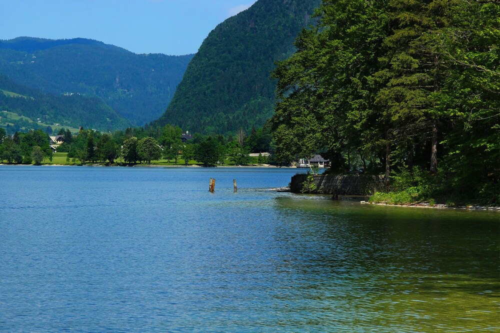 Photo of Others in Bohinjska Bistrica