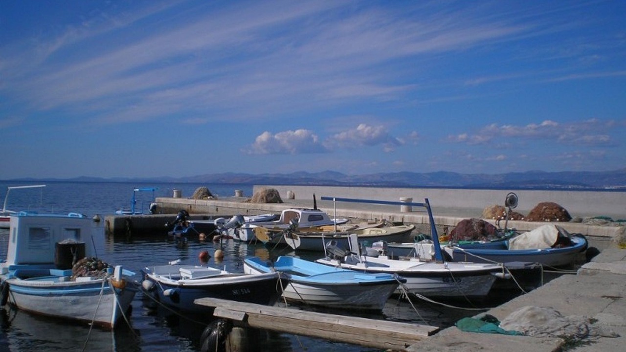 Photo of Others in Mirce