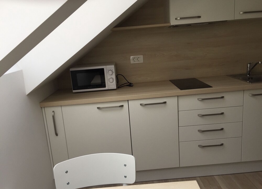 Photo of Kitchen in Bohinjska Bela