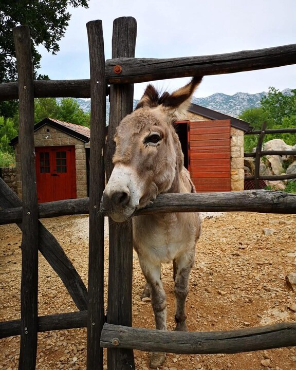 Photo of Others in Seline