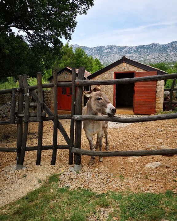 Photo of Others in Seline