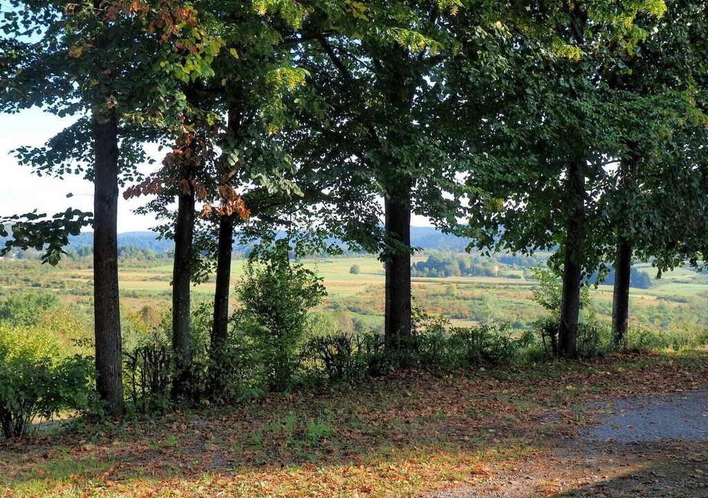 Photo of Others in Plaski