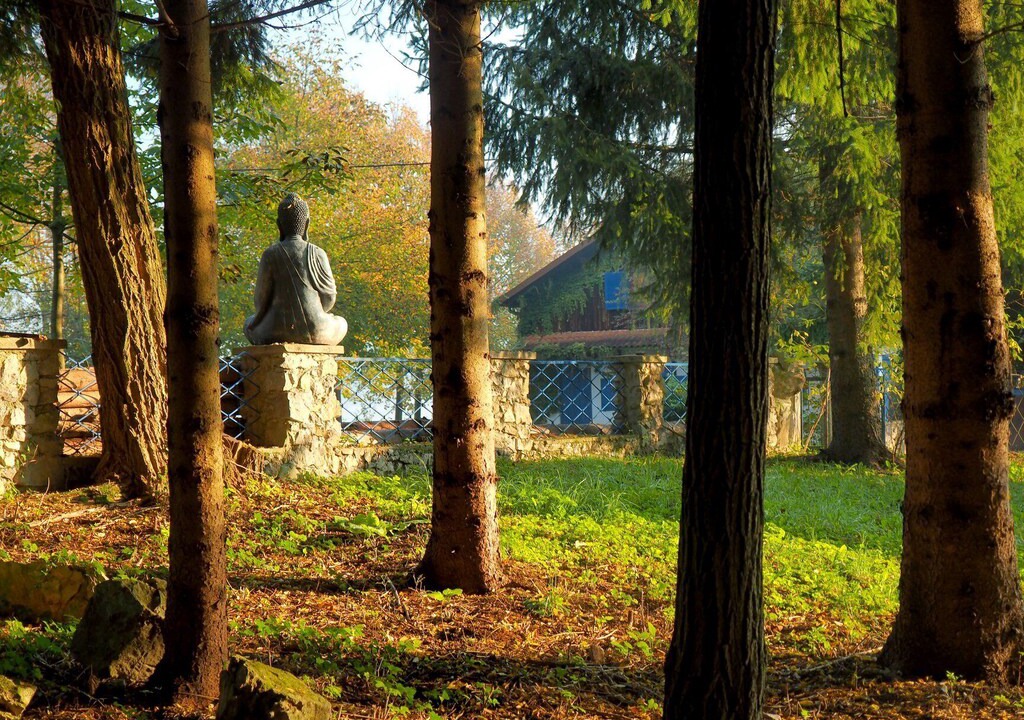 Photo of Others in Plaski