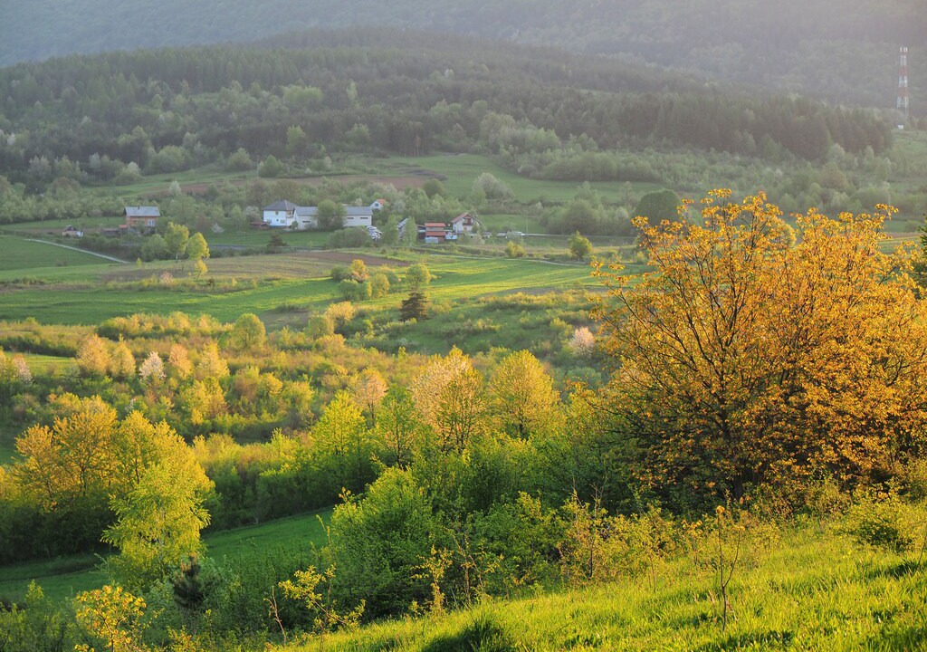 Photo of Others in Plaski