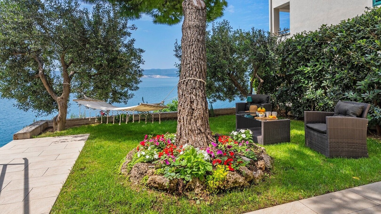 Photo of Outdoor in Medici