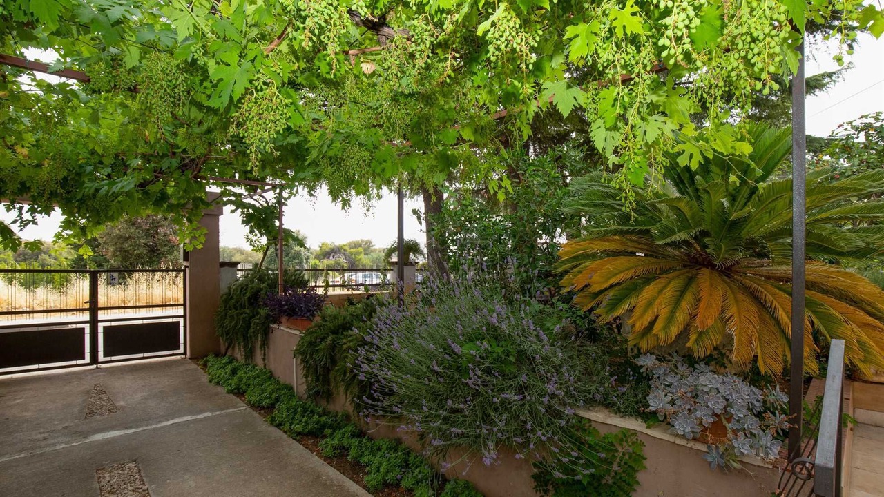 Photo of Outdoor in Pakostane