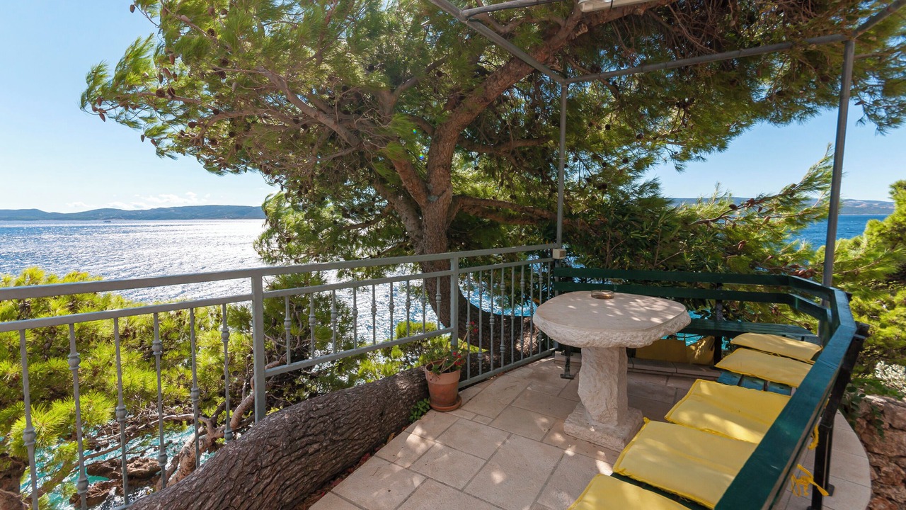 Photo of Outdoor in Medici