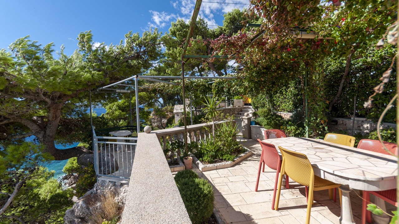 Photo of Outdoor in Medici