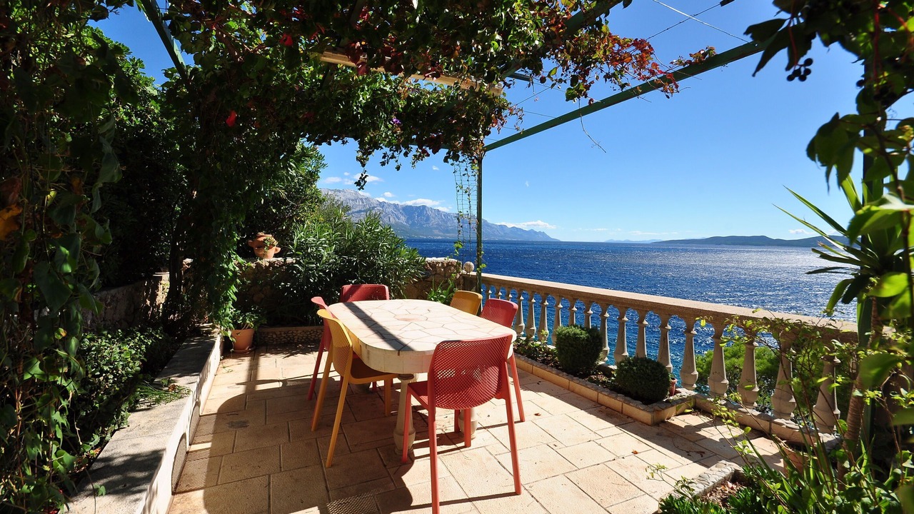 Photo of Outdoor in Medici