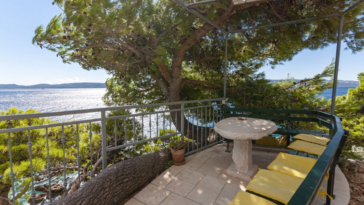 Photo of Outdoor in Medici