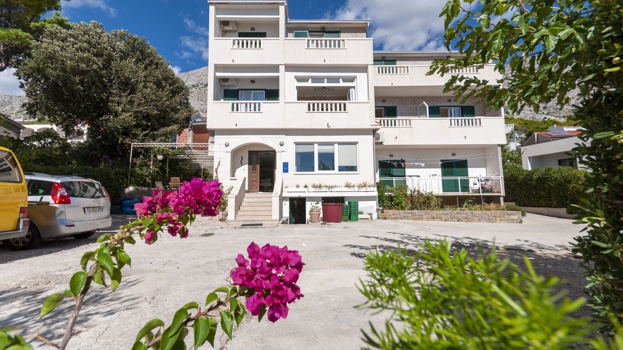 Photo of Outdoor in Medici