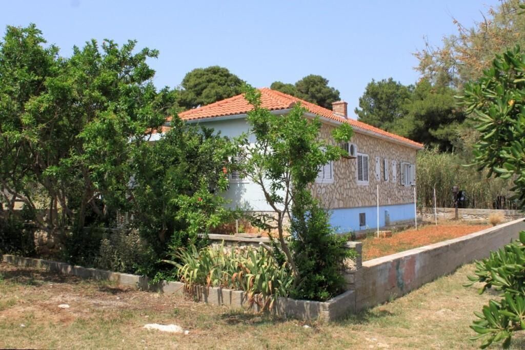 Photo of Outdoor in Batalaza