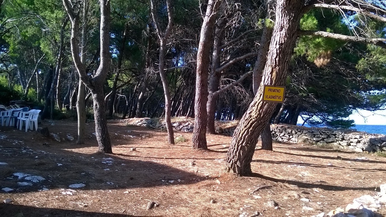 Photo of Others in Batalaza