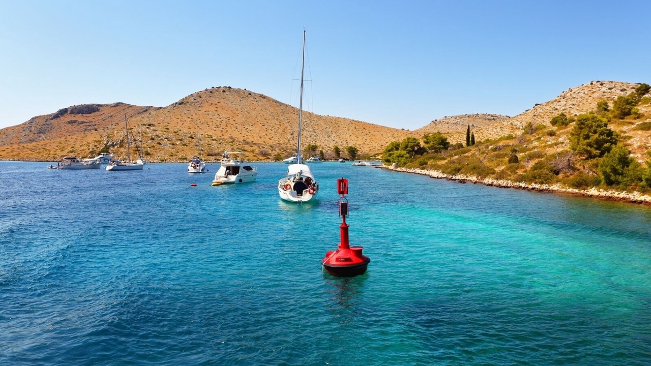 Photo of Others in Luka