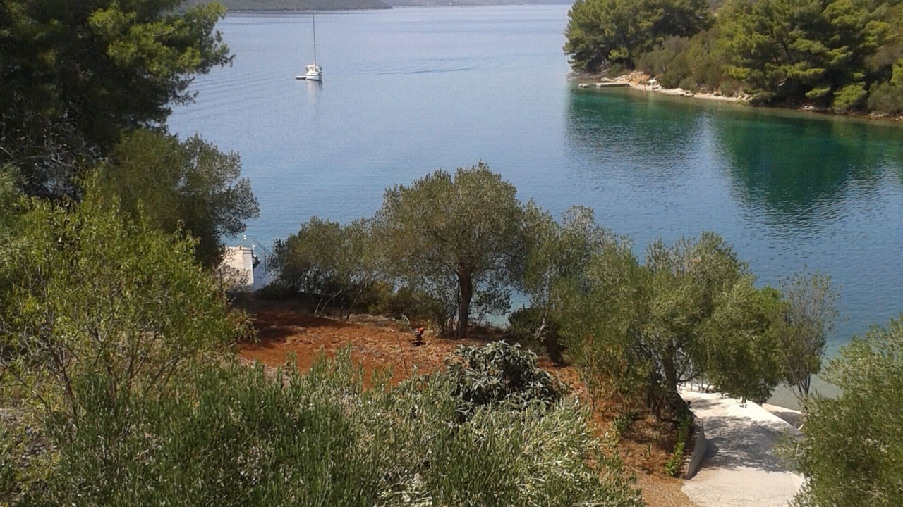 Photo of Others in Luka
