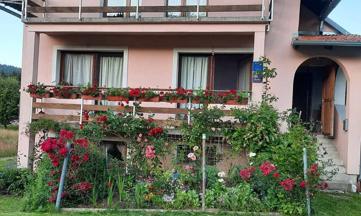 Photo of Outdoor in Jasenak